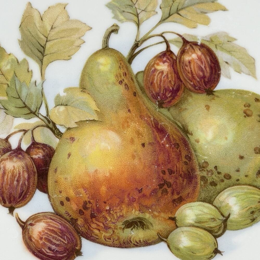 3pc Vintage Bareuther Fruit Harvest Plates Porcelain Gold Trim Bavaria Germany - Picture 8 of 12